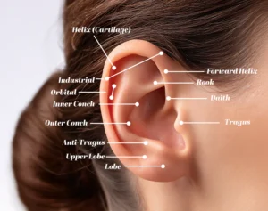 Ear piercing placement guide